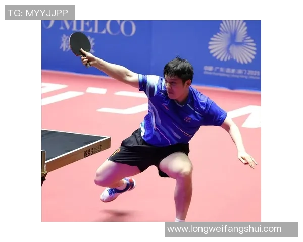 聚焦乒乓球：探讨杭州乒乓球队的实力与未来发展潜力