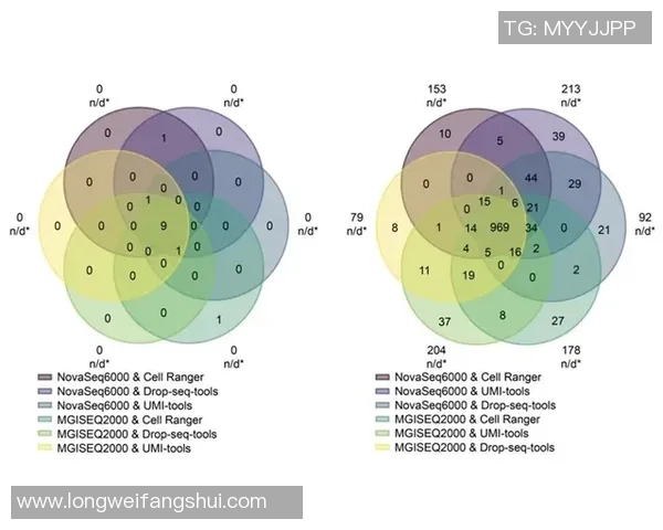 西安排球队耐力表现的数据分析与评估研究