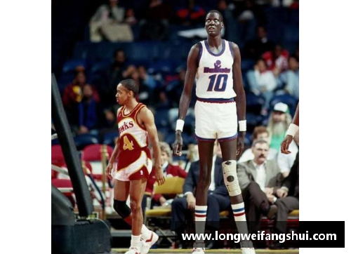 一分彩小鸟NBA：新赛季探秘，超级明星对决与球场故事震撼揭晓 - 副本