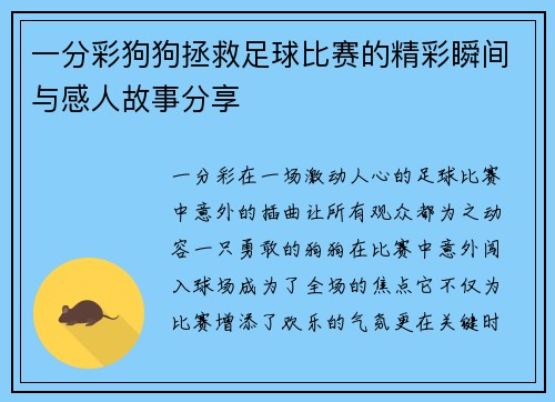 一分彩狗狗拯救足球比赛的精彩瞬间与感人故事分享